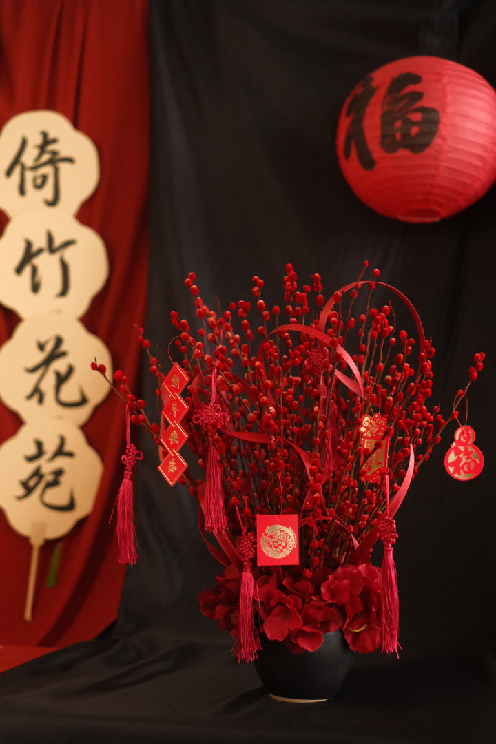 CNY 2025 | Fireworks Crackling红红火火