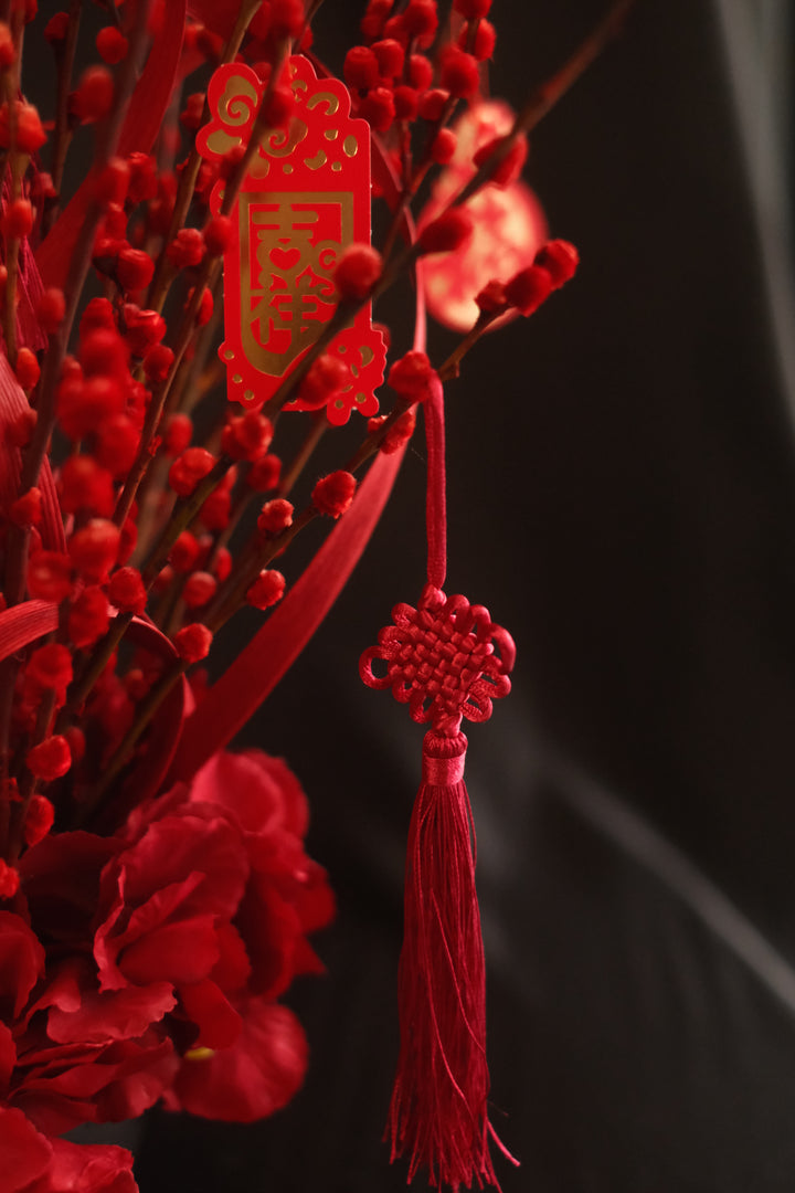 CNY 2025 | Fireworks Crackling红红火火