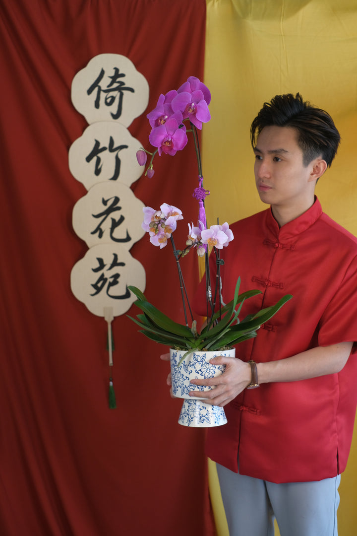CNY 2025 | Refined Prosperity Orchids 画蛇添福