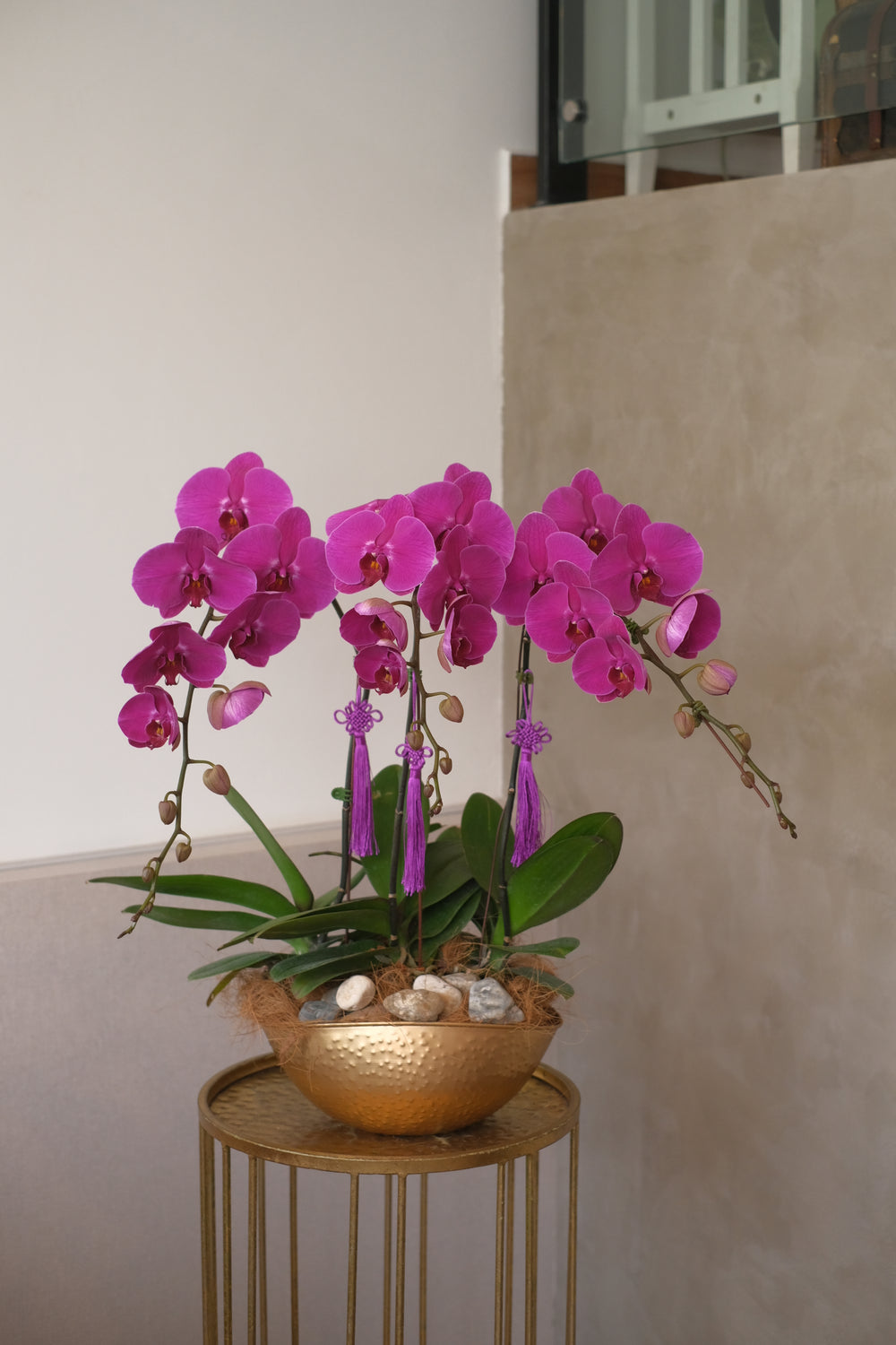 Dark purple Phalaenopsis orchid in a stunning planter. Perfect for festive celebrations. Penang florist, order online, Hari Raya, same-day delivery across Penang.
