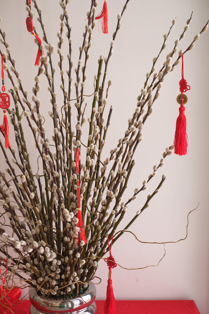 龙Long Blossoms