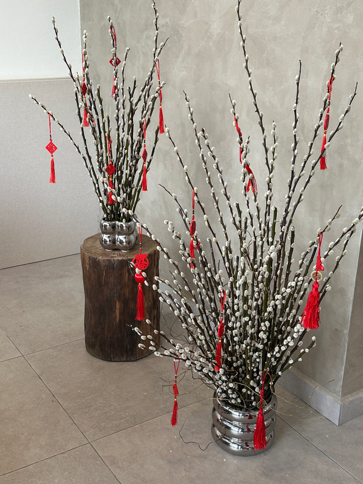 龙Long Blossoms