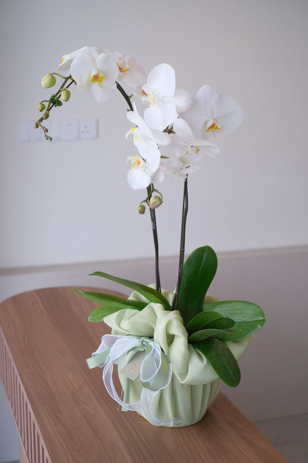 florist in butterworth with orchid, marble white orchid, fresh flowers bouquet