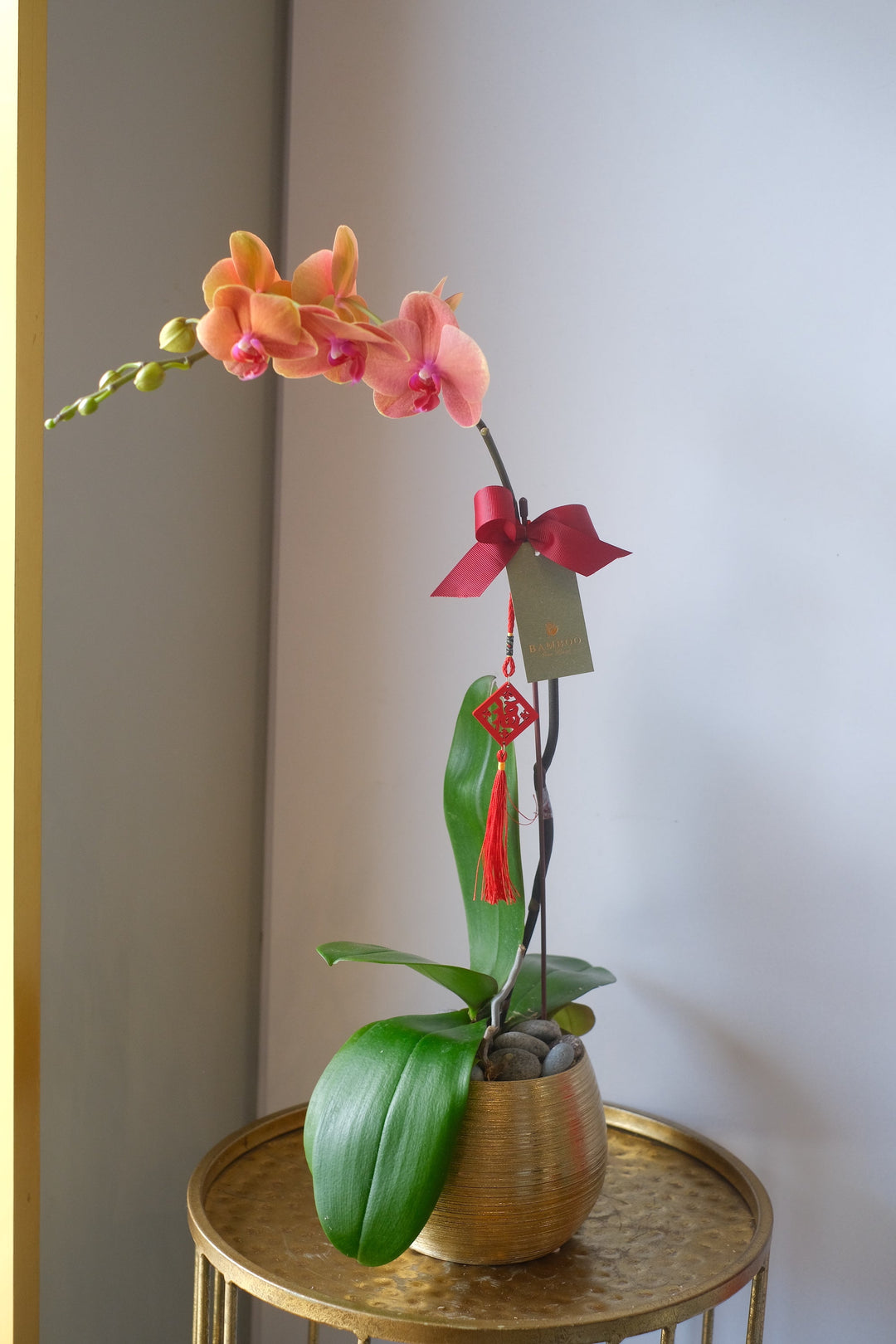 orange orchid for chinese new year dragon delivery in penang