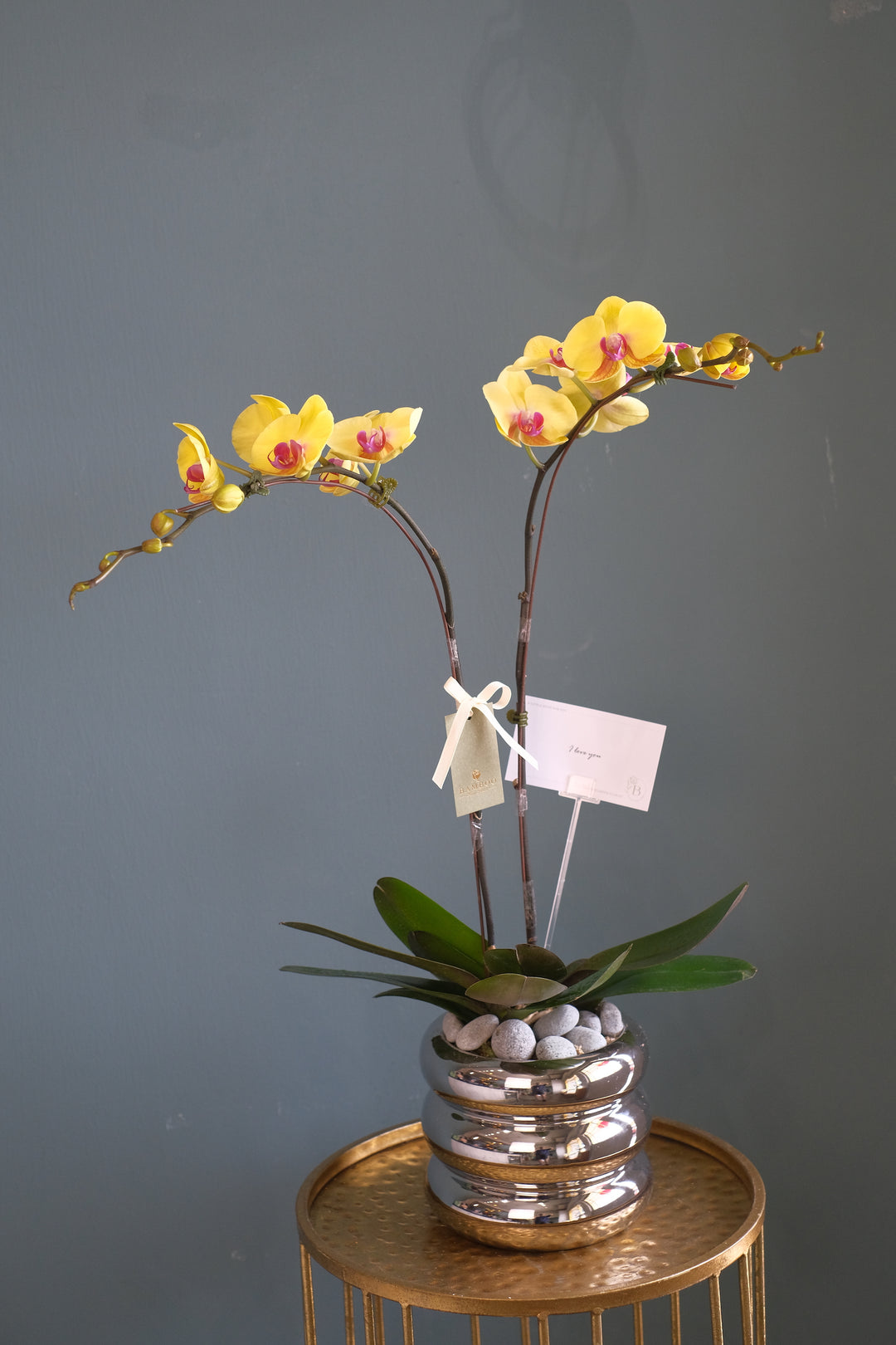 Yellow Phalaenopsis Orchid in Elegant Silver Pot, Available for Same-Day Delivery in Penang