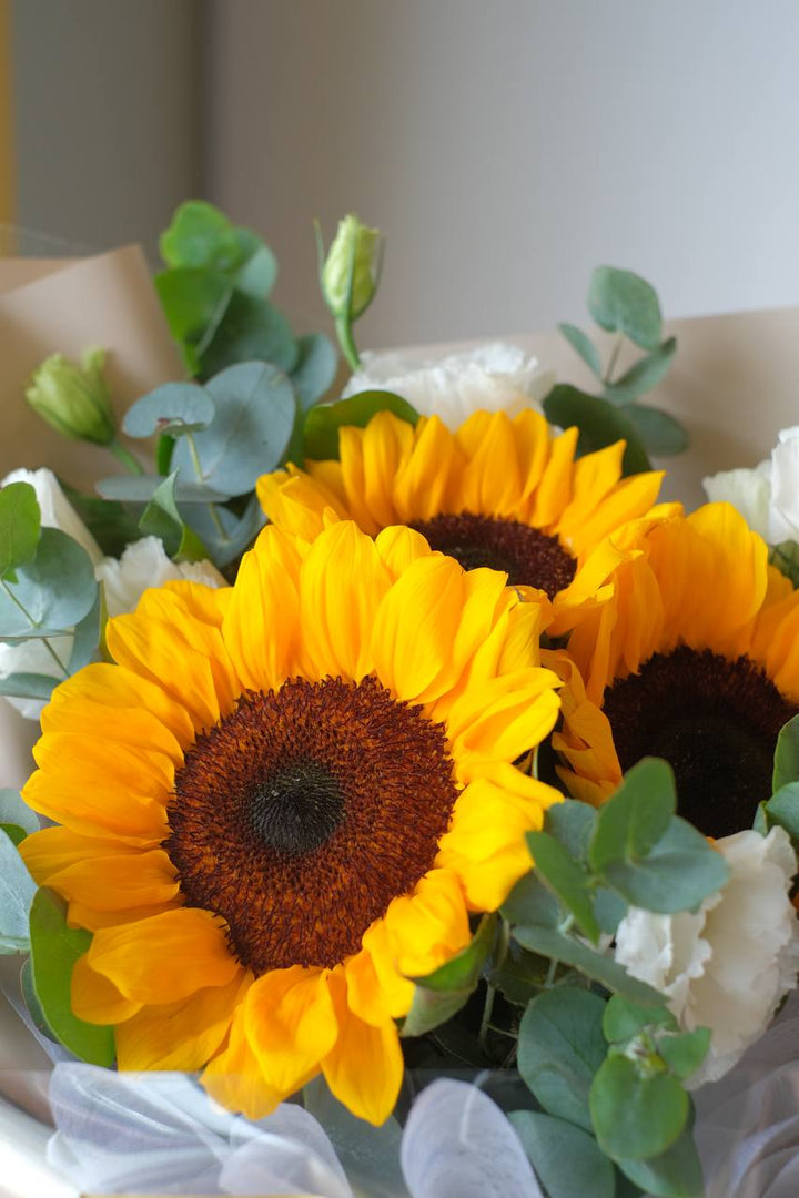 This radiant sunflower bouquet is sure to impress—perfect for celebrations and graduation. Order online from your trusted Penang florist to deliver same day!