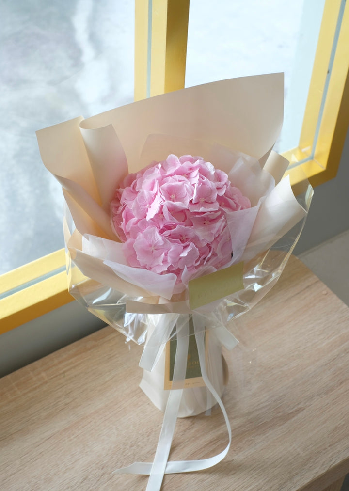Darling Hydrangea