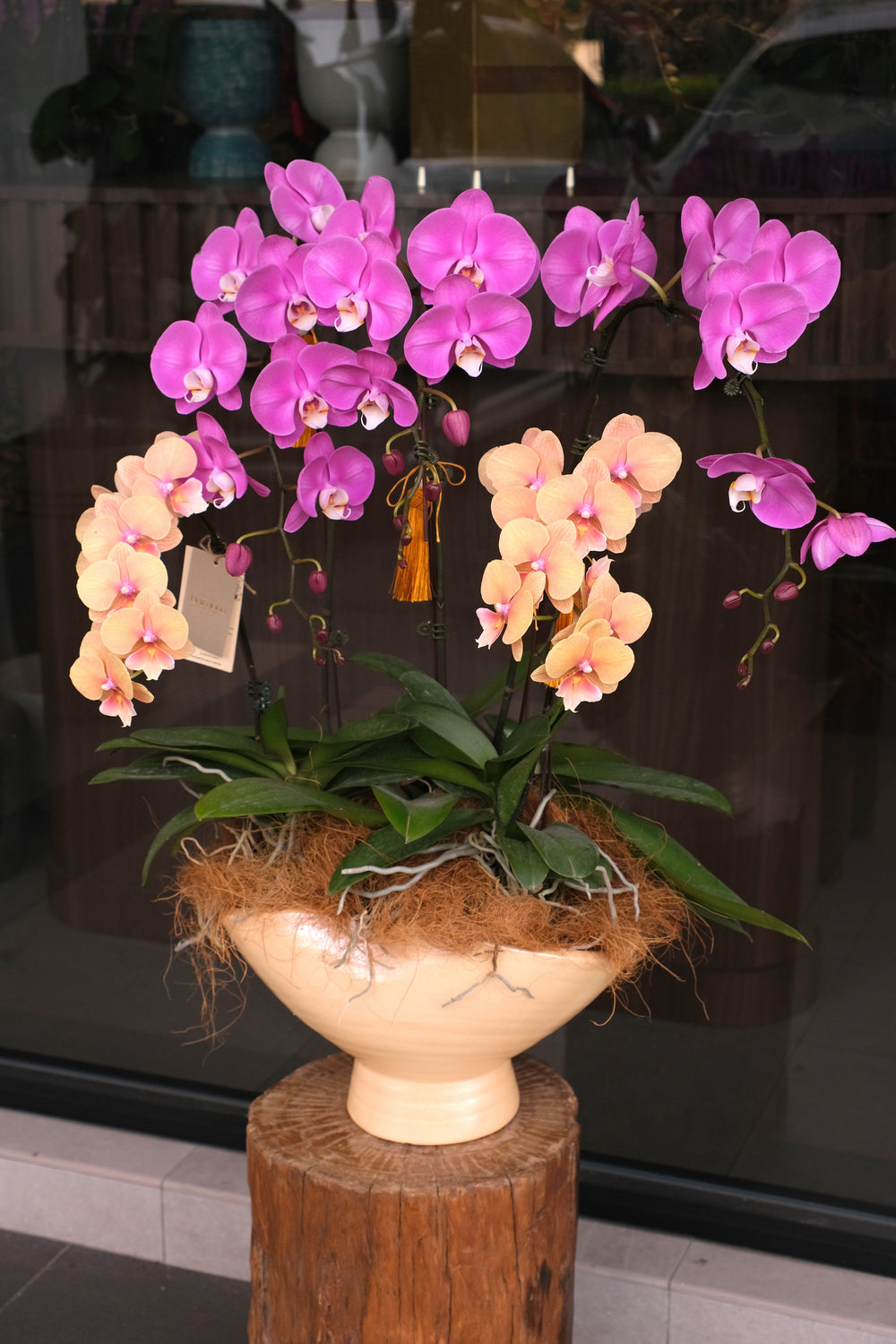 Royal Purple and Sunset Orange Phalaenopsis Orchids in Unique Horseshoe Shaped Planter - The Majestic Horseshoe CNY 2026 - Bamboo Green Florist Penang
