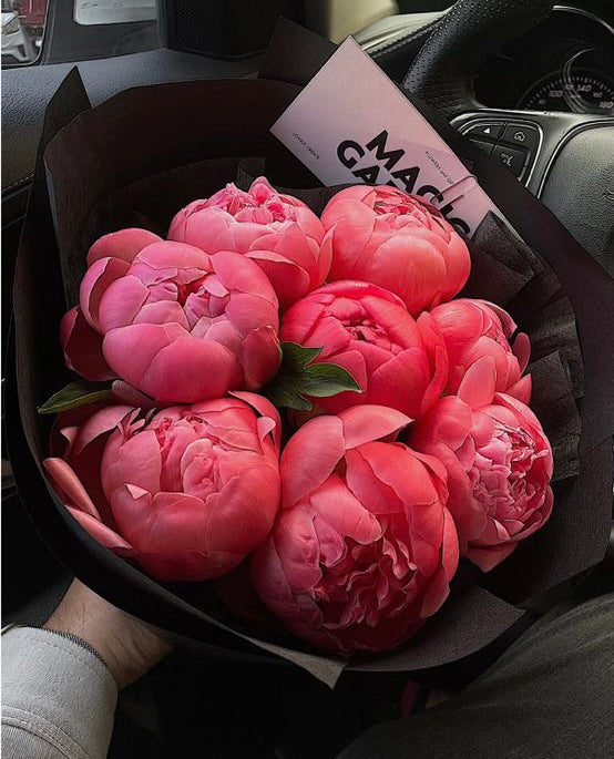 Coral Sunset Peonies