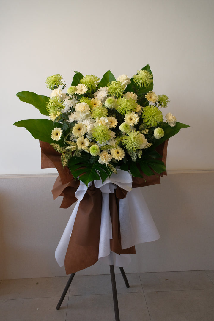 Comfort Green