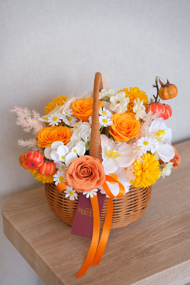 Harvest Pumpkins