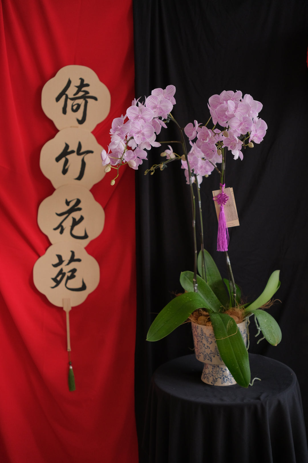 Puni Petals Orchids