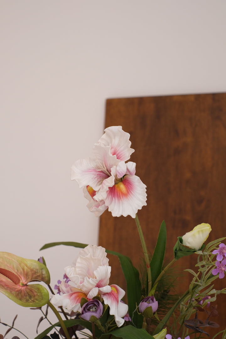 CNY 2026 | Violet Nocturne 紫气东来