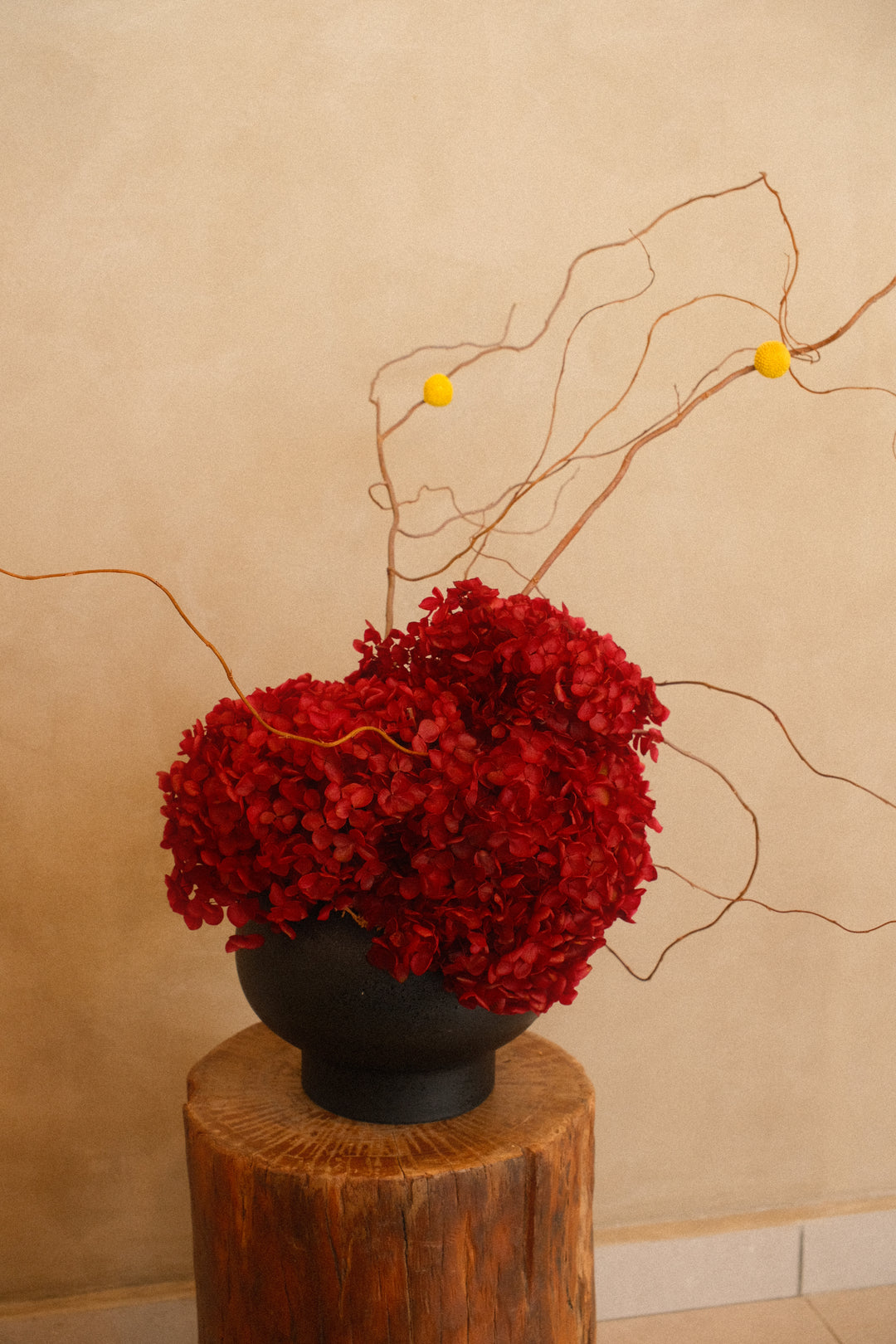 CNY 2026 | Cinnabar Ink 丹若墨韵