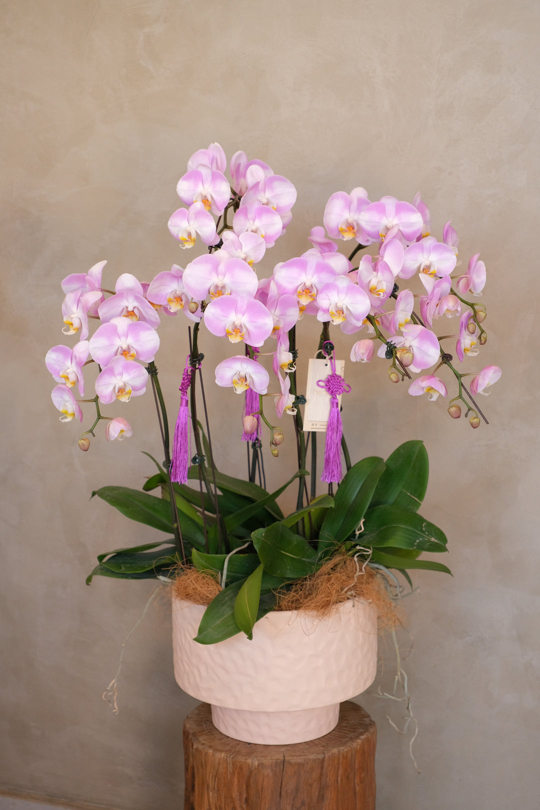 CNY 2026 | Palace Radiance 宫阙生辉