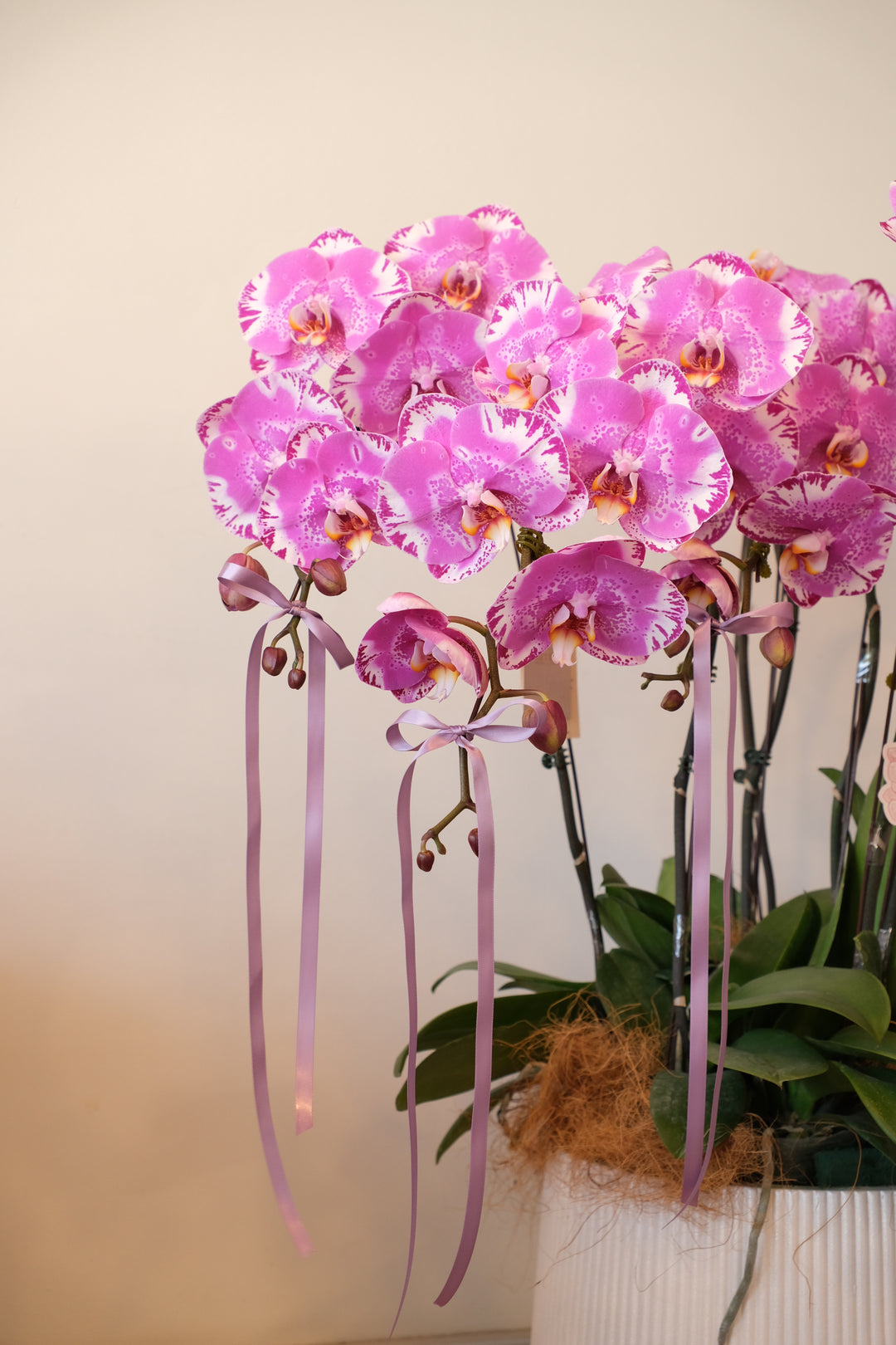 CNY 2026 | Royal Radiance 花开富贵