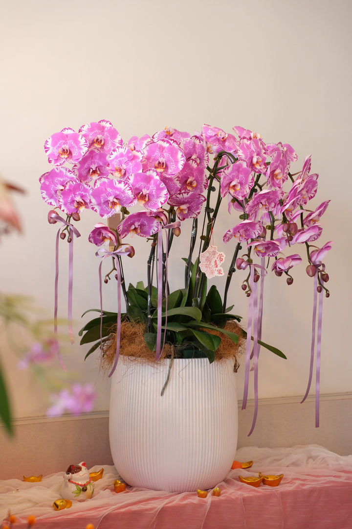 CNY 2026 | Royal Radiance 花开富贵