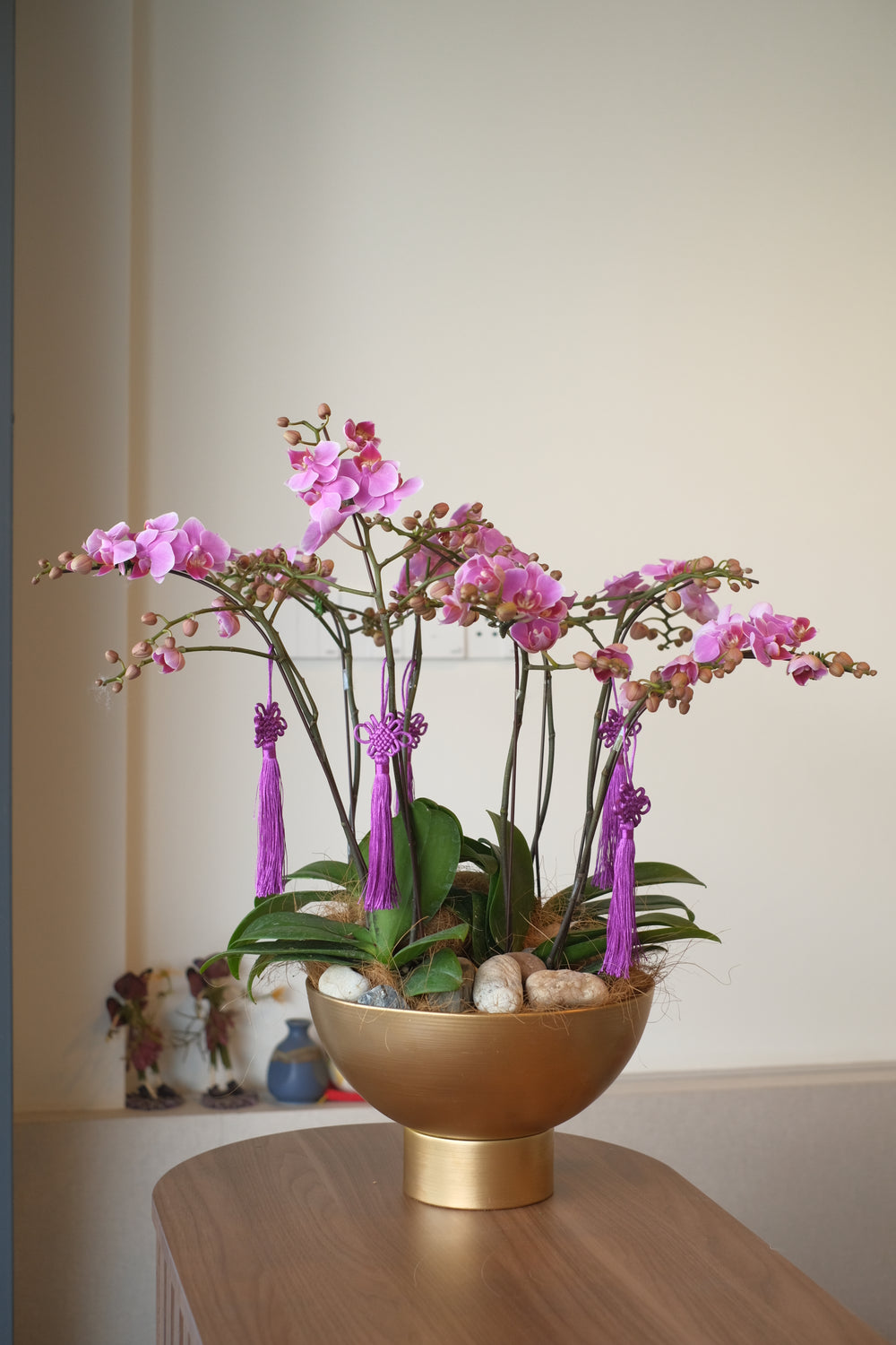 Behold the striking elegance of the phalaenopsis orchid, displayed in a gold planter. Perfect for Hari Raya celebrations. Penang florist, order online, same-day delivery.