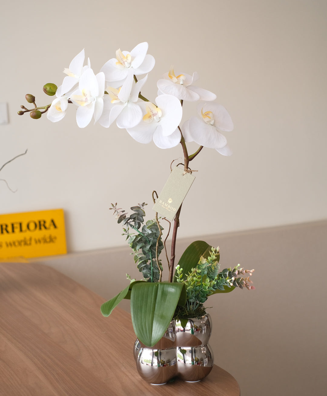 white orchid in pot for delivery in penang