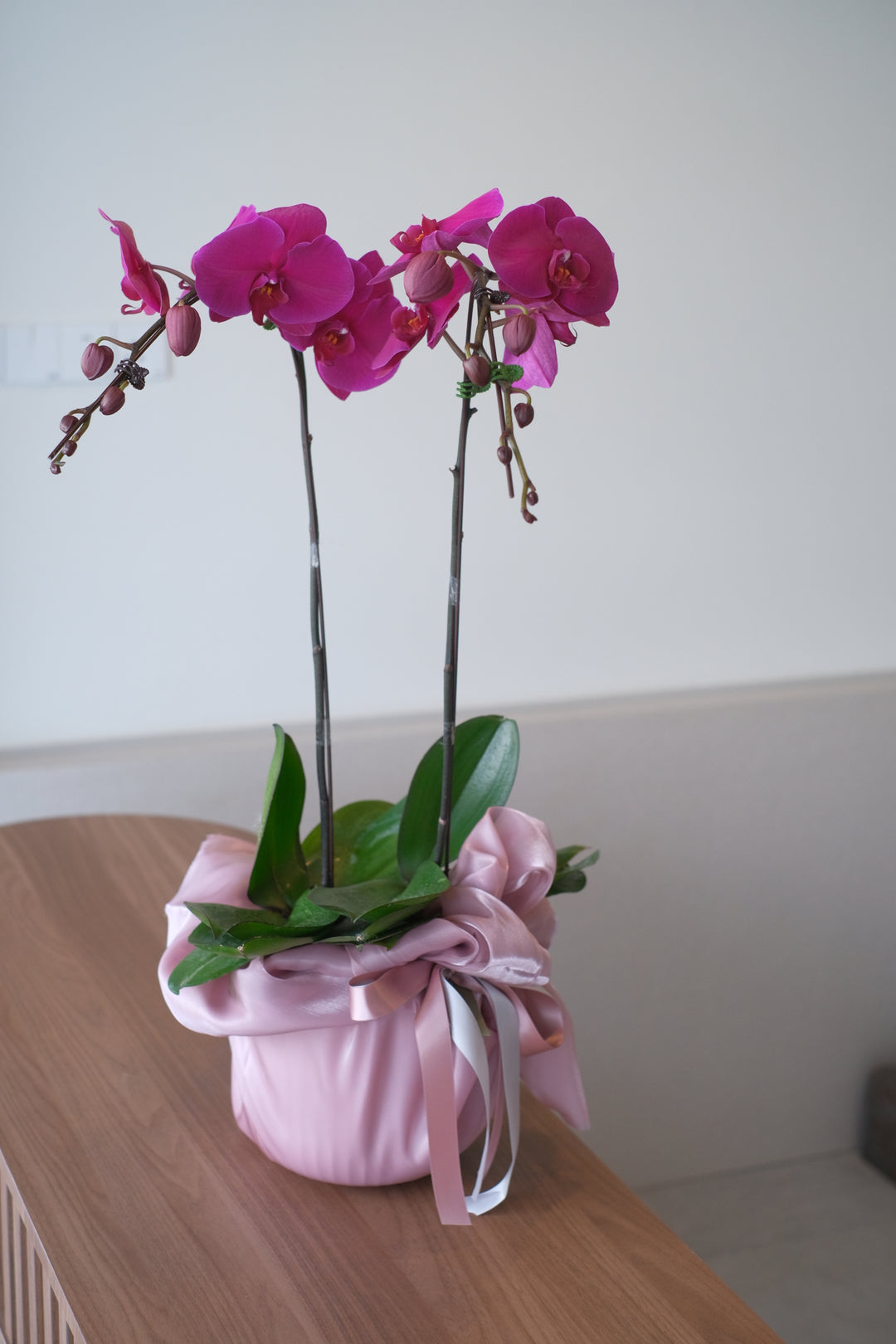 purple duo orchid flower bouquet near me, florist online with phalaenopsis arrangement, flower penang in a ceramic planter 