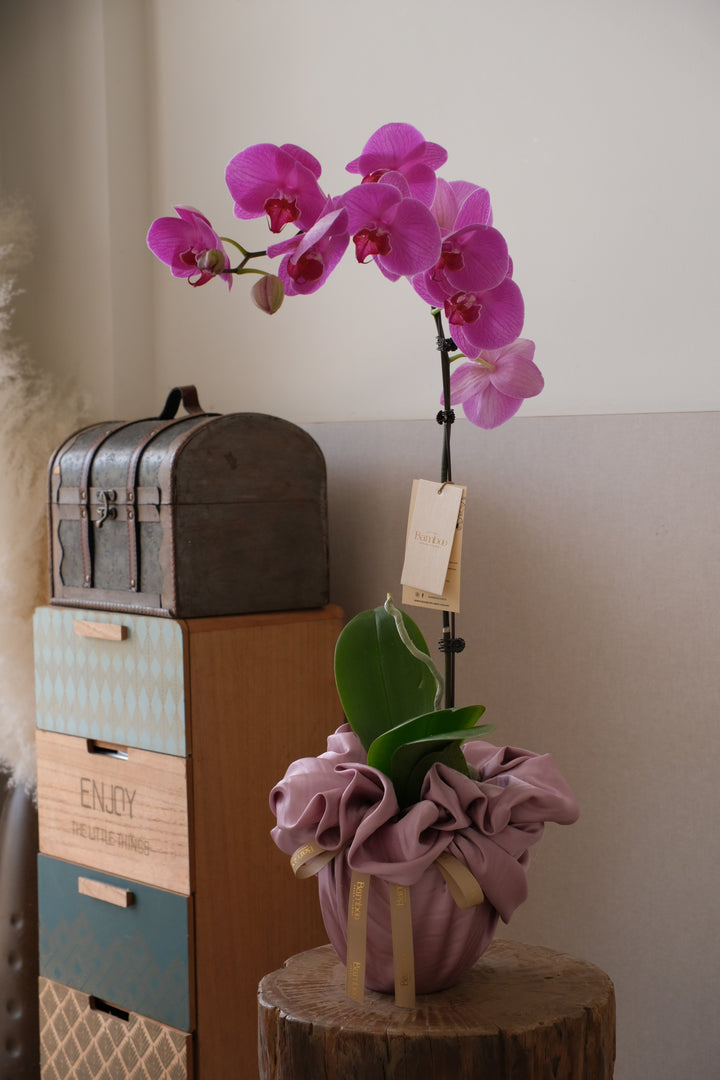 Pink orchid on a white surface with a small wooden box and a pink fabric item in the background.

