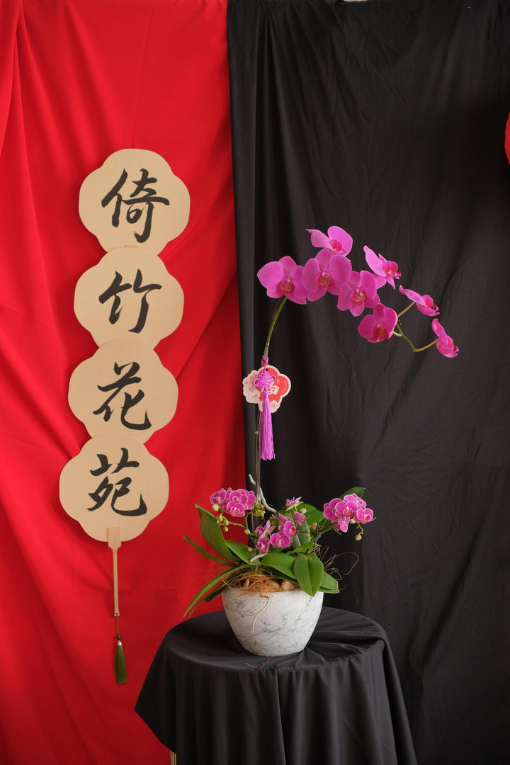 CNY 2025 | Blossom Petals 蛇舞生花