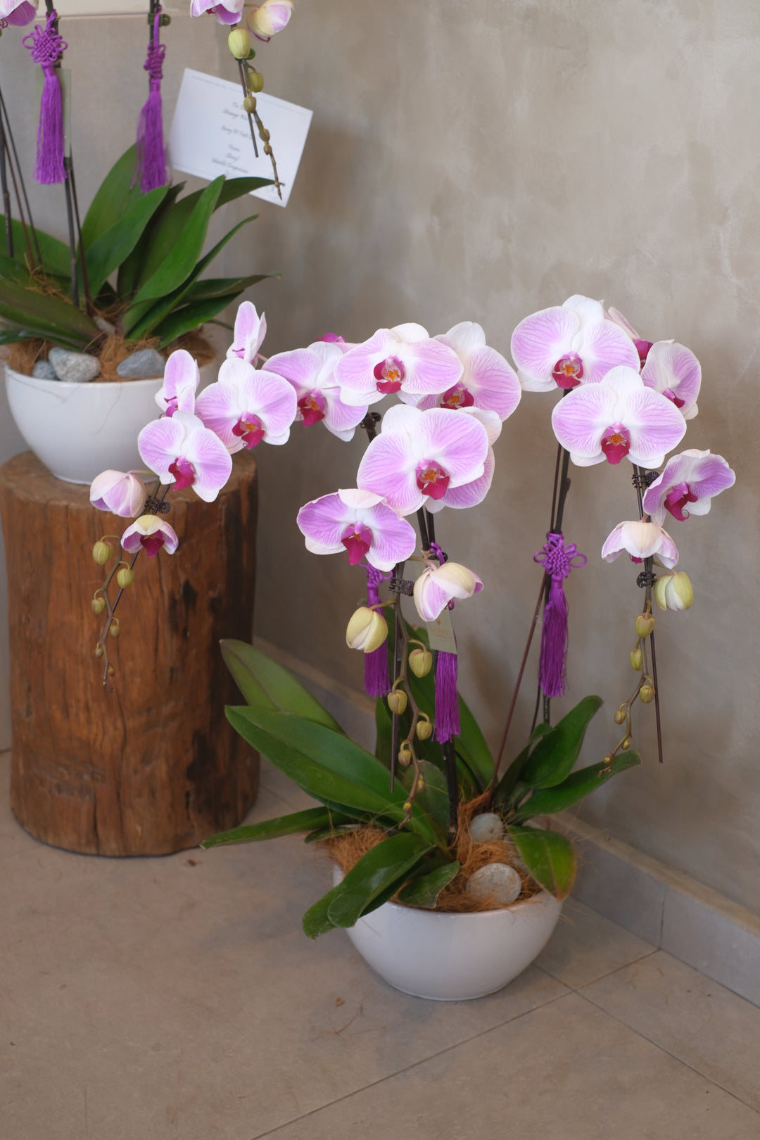 fresh orchids delivery in penang