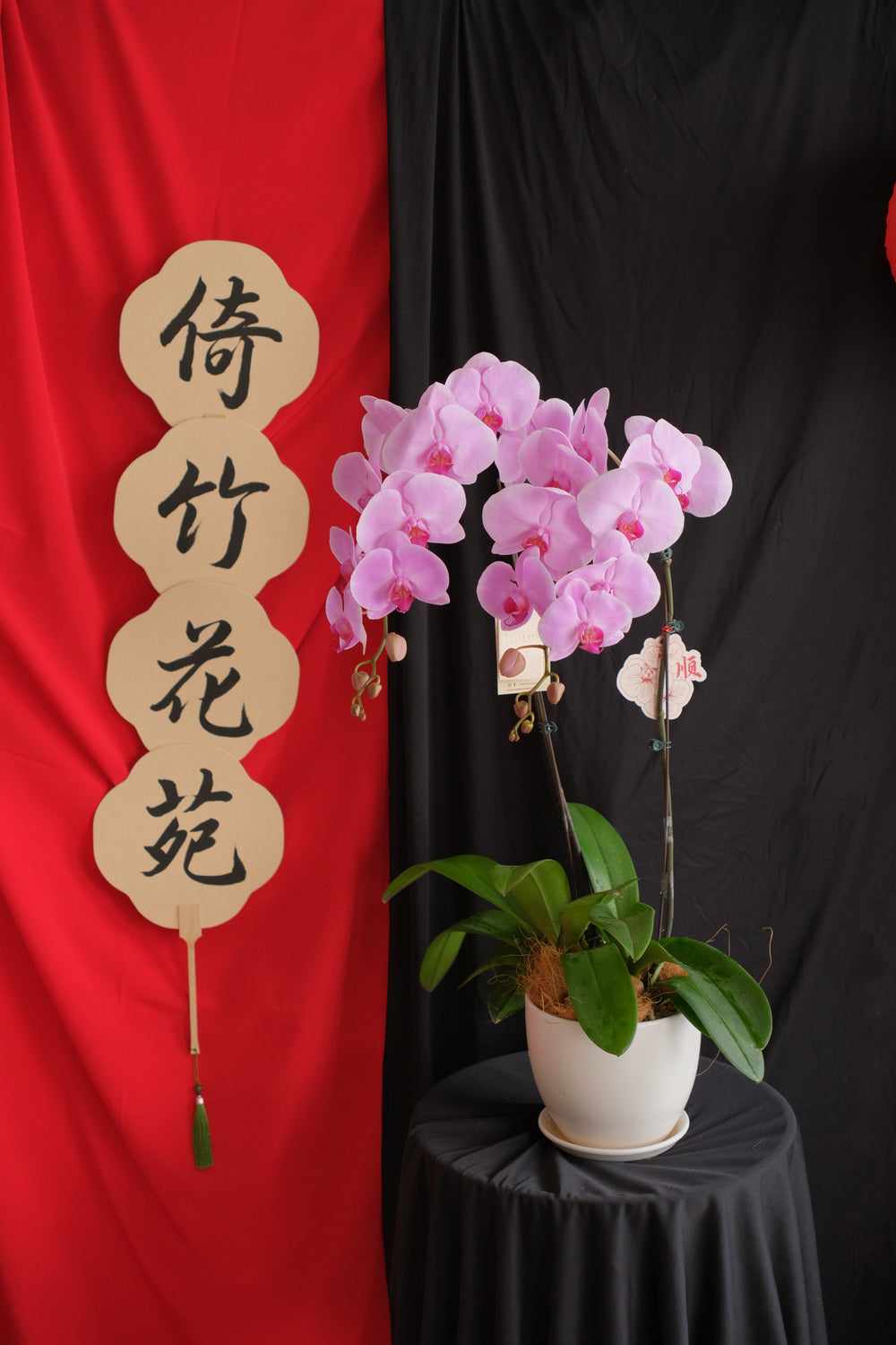 Light purple Phalaenopsis orchid elegantly displayed in a ceramic planter. Penang florist, Hari Raya, order online, deliver same day for timely floral delivery.