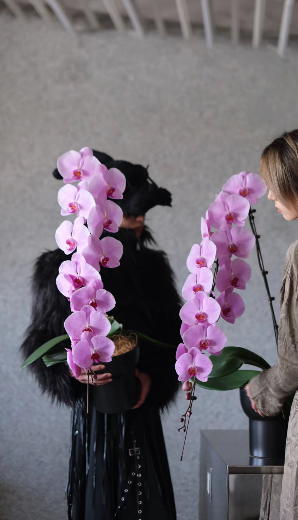 龍蘭 penang 花店bm  花店