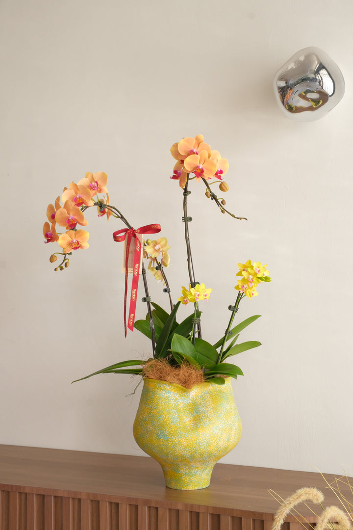 Orange peach phalaenopsis and yellow multiflora Taiwan orchids in yellow speckled ceramic pot — No.1 online florist Penang Mother's Day orchid gift RM508

