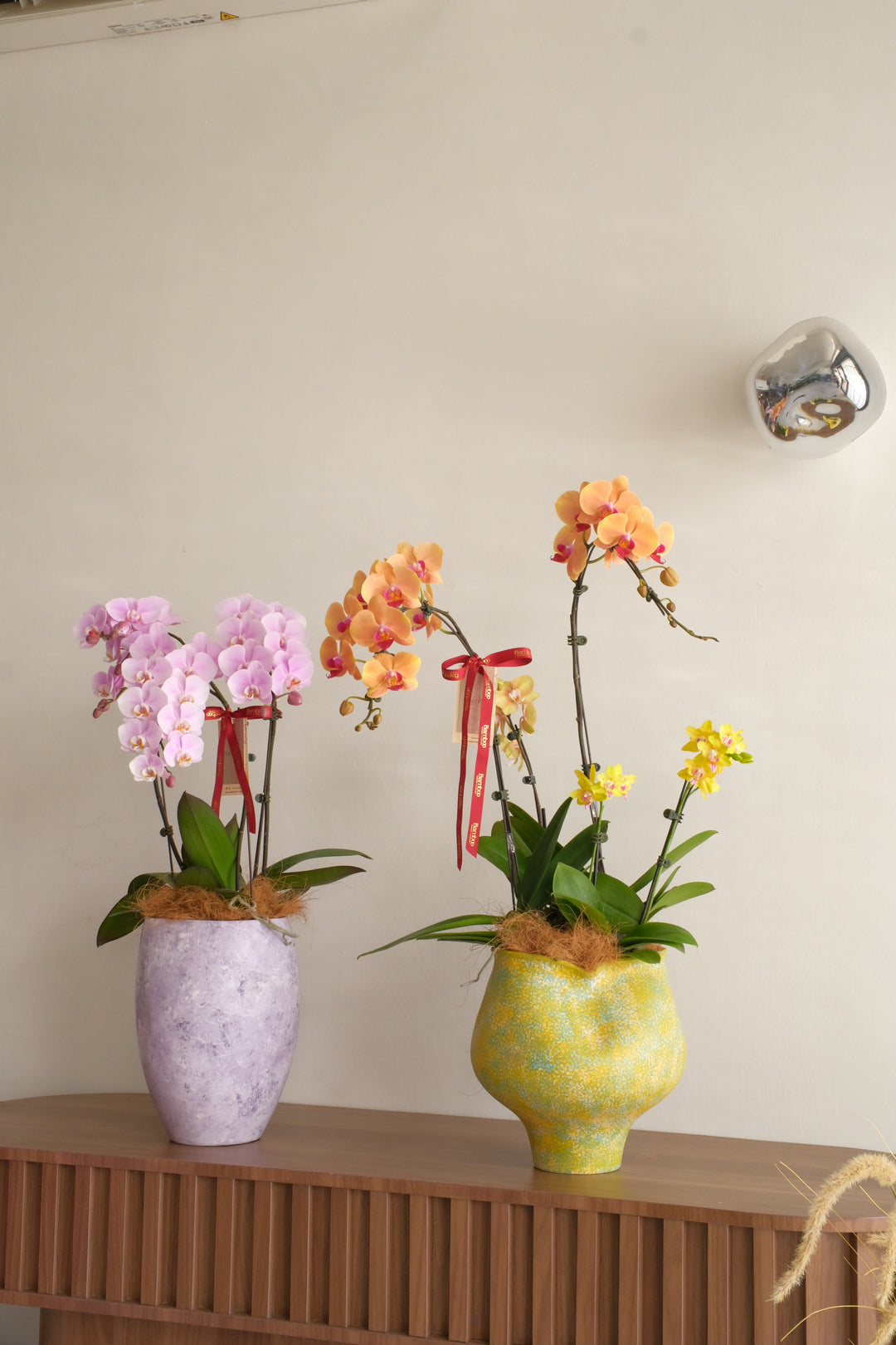 Orange peach phalaenopsis and yellow multiflora Taiwan orchids in yellow speckled ceramic pot — No.1 online florist Penang Mother's Day orchid gift RM508

