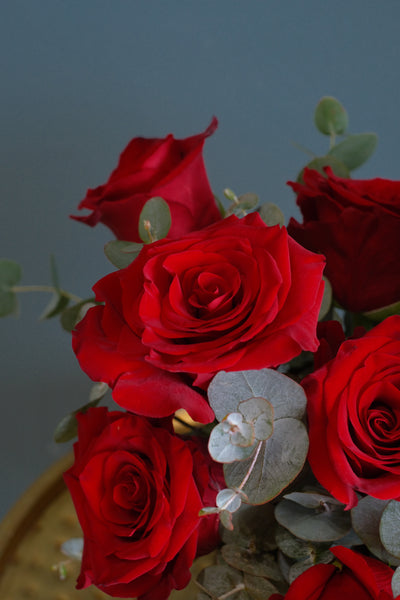 Stunning composition of 10 red luxury roses in elegant black box for valentine's flower delivery.